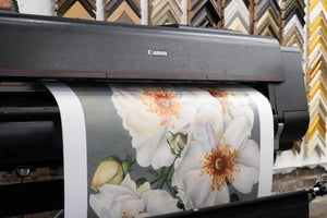 12-Color Fine Art Printing on Paper