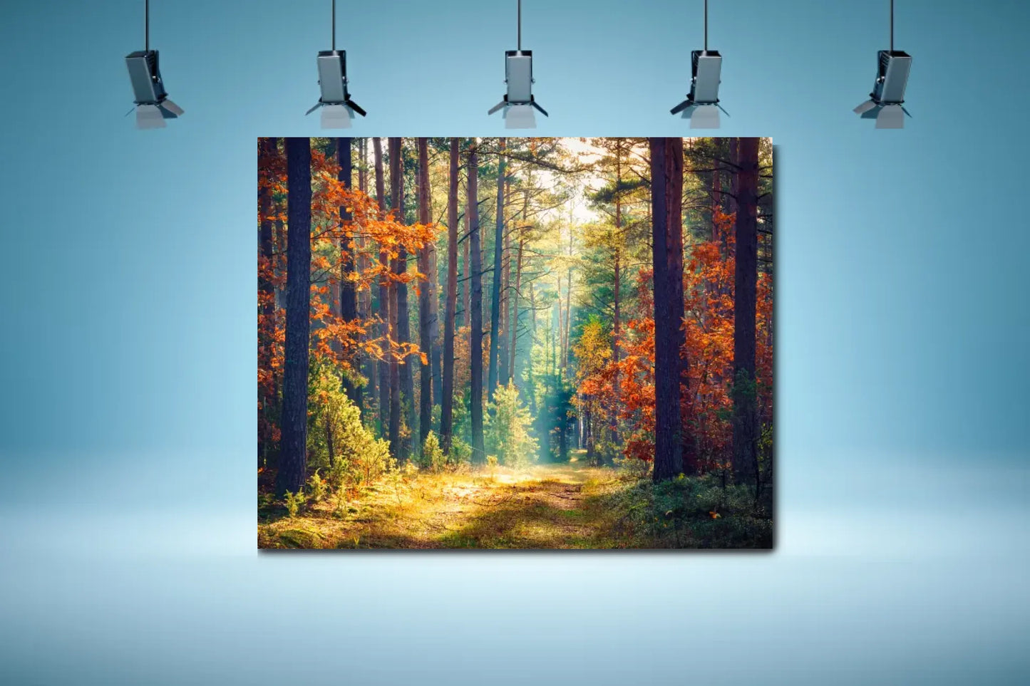 shutterstock_1802012281
