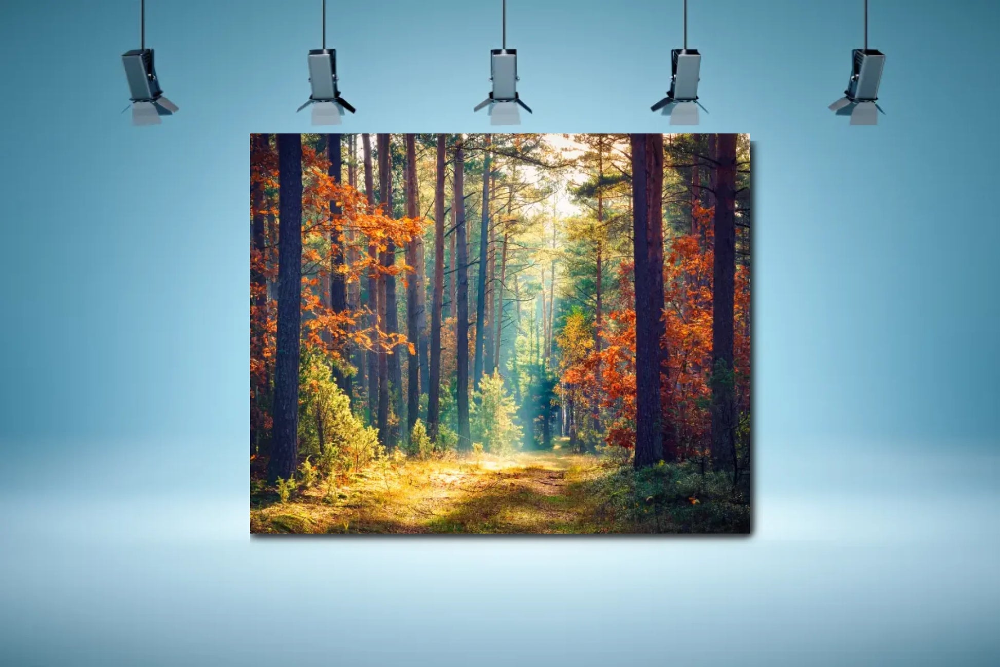 shutterstock_1802012281