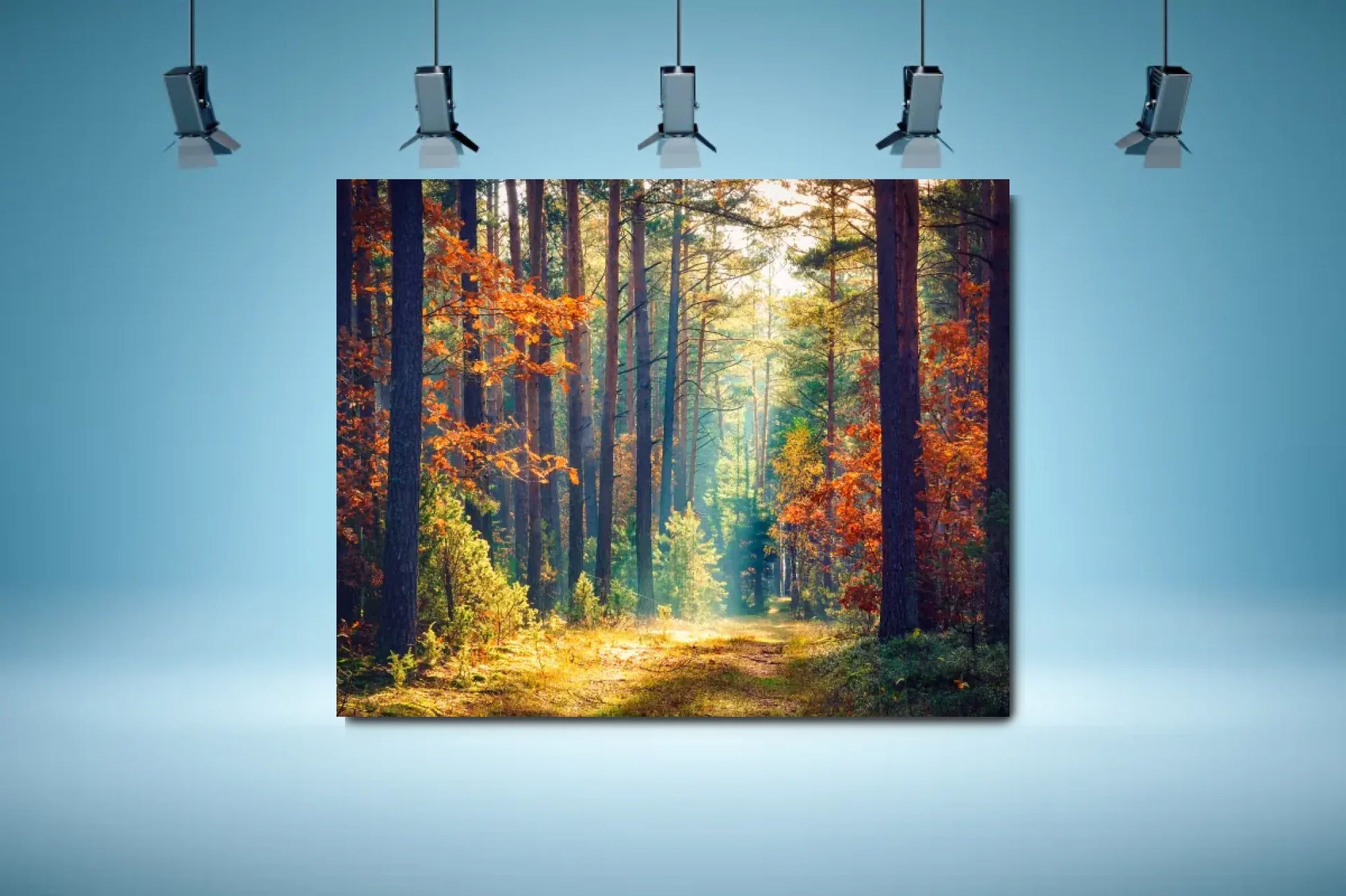 shutterstock_1802012281